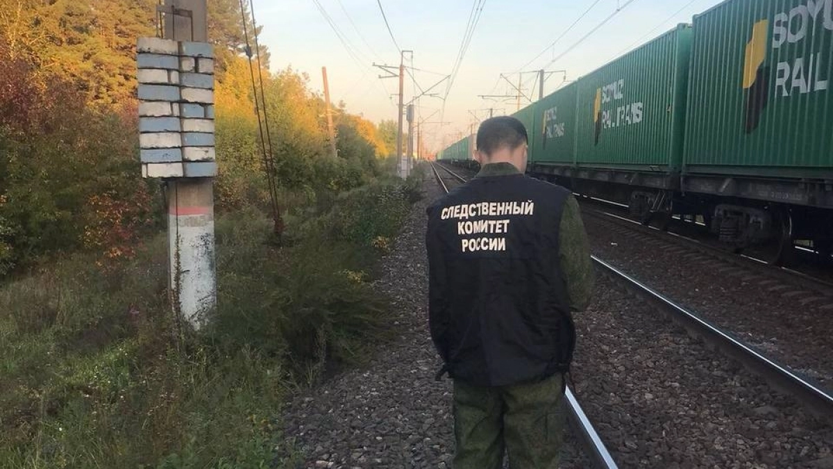 В Кировской области мужчина с корзиной ягод попал под поезд и не выжил
