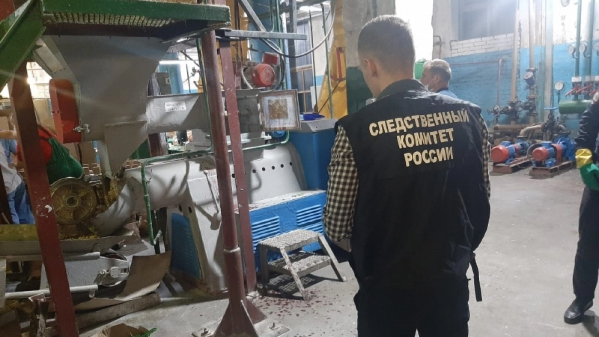 В Кирсе возбудили дело после жуткого ЧП с работником и пилой на производстве