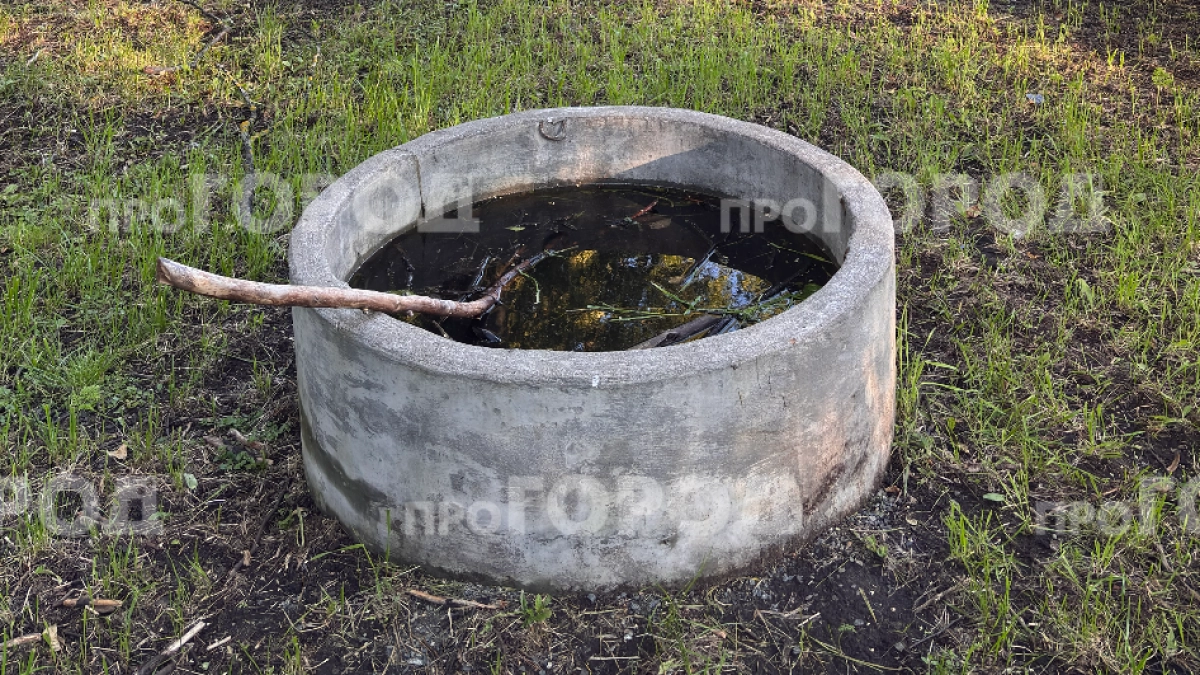 В сквере у Спасского собора двухлетний малыш упал в бетонное кольцо с водой