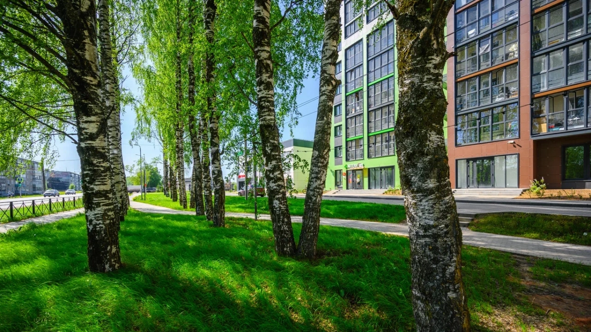 Новый ЖК, ТЦ, йога и школа танцев: какие перемены произошли за Нововятским переездом за 5 лет