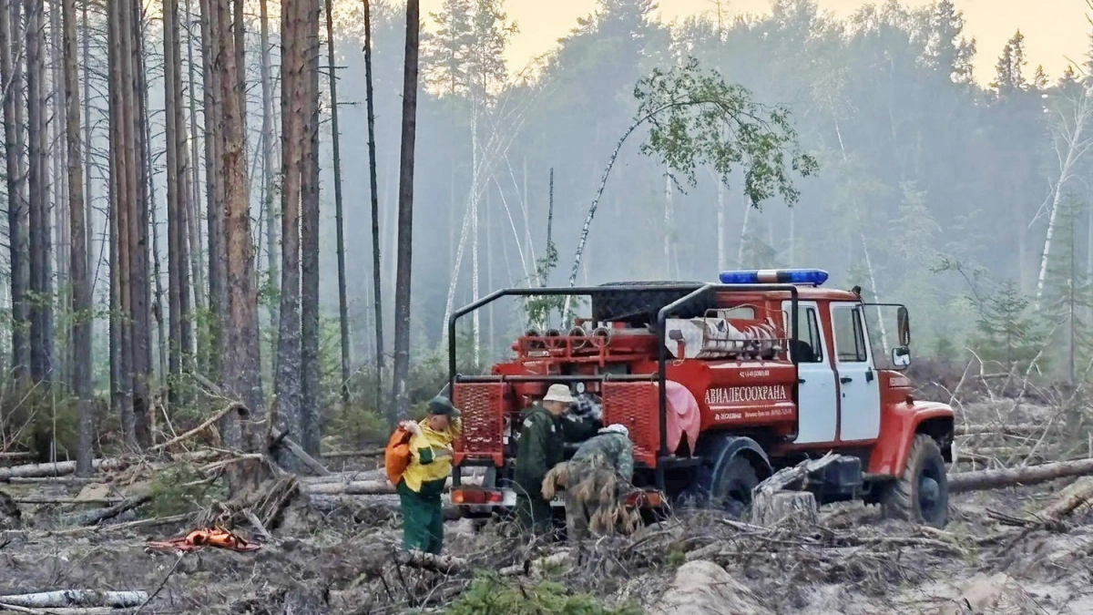 В Кировской области потушили замеченный с самолета пожар в лесу