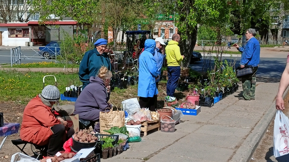 Почему мы остаемся в одиночестве в старости: 9 мудрых уроков от Алисы Фрейндлих