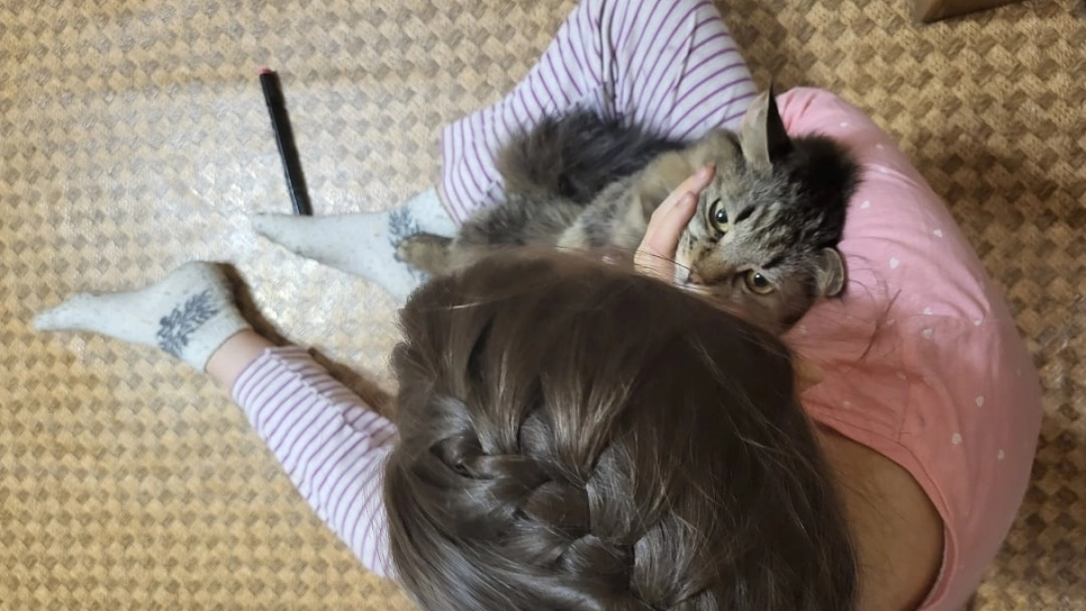 Почему кошка лезет к лицу: не для поцелуев, а по другой причине