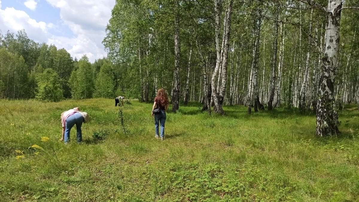 Клещи перестают зверствовать в Кировской области