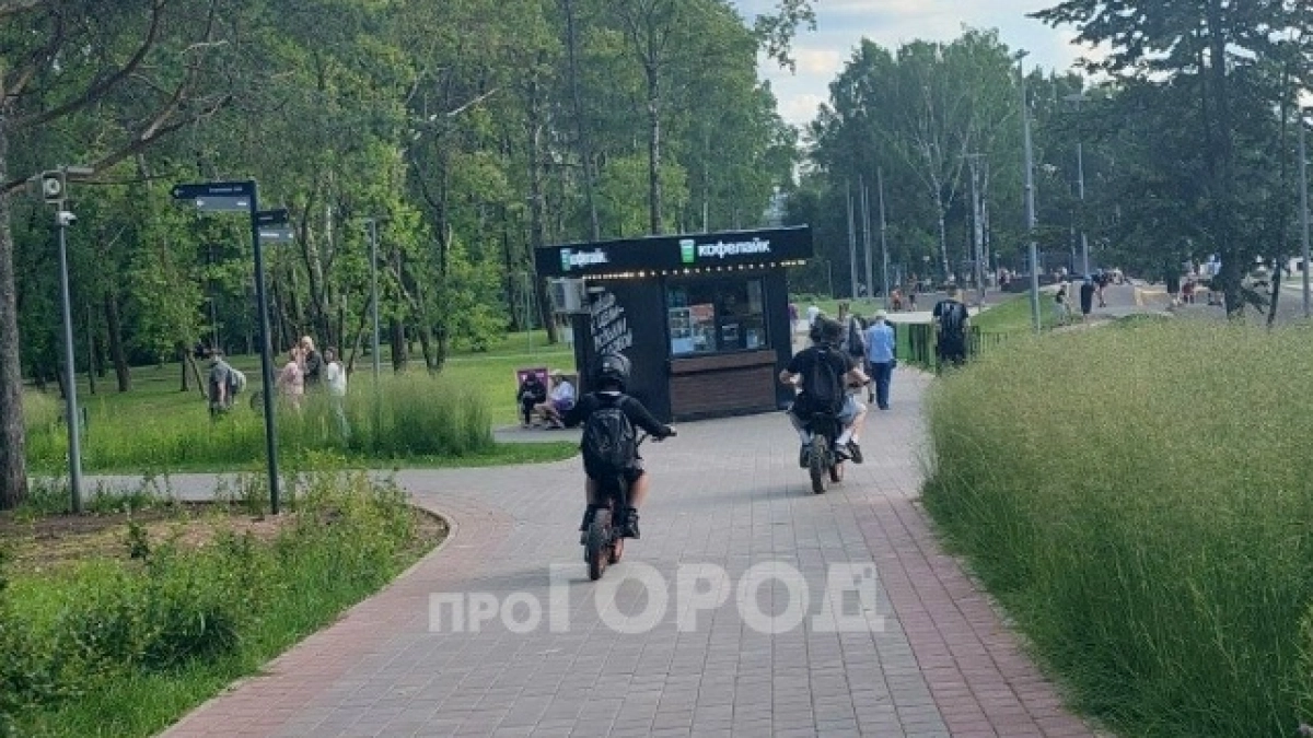 "Страшно идти по тротуару": прогулки по городу превратились для кировчан в игру на выживание из-за питбакейров