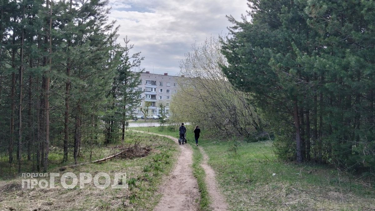 В Кировской области объявили четвертый класс пожарной опасности