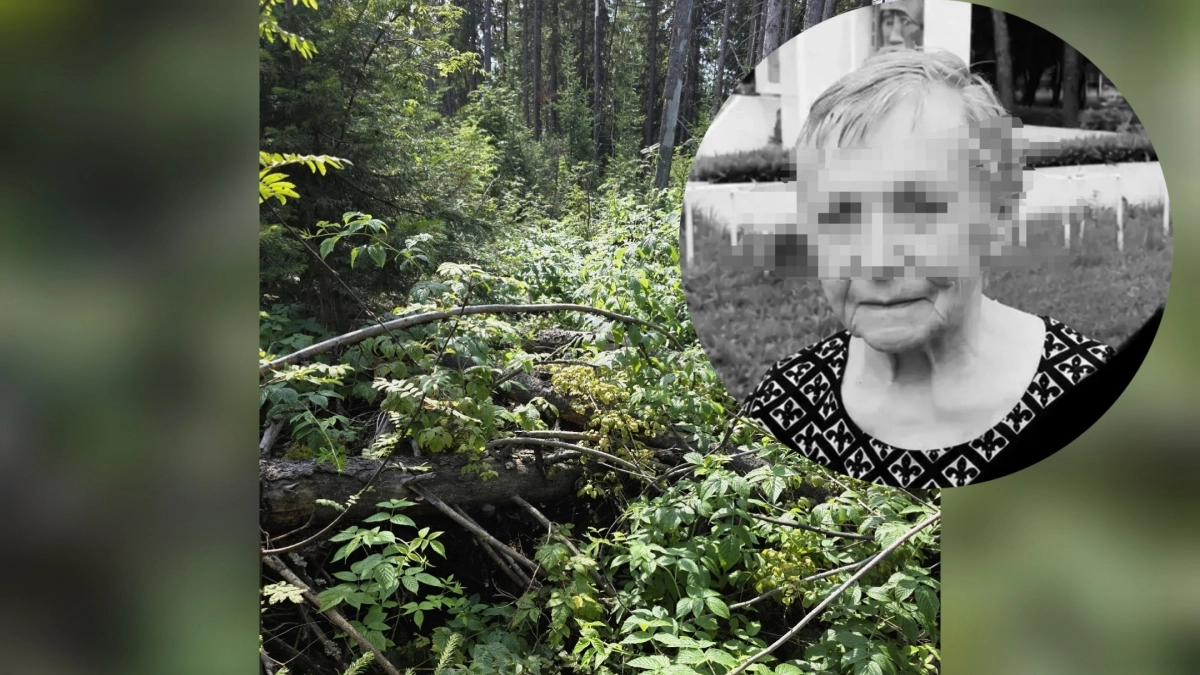"Общалась с внуком, но не могла назвать ориентиры": бывшую учительницу из Шихово нашли погибшей в буреломе 