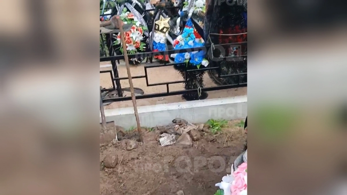 "Тела наших парней кладут в мусор!": кировчане жалуются на состояние Аллеи Славы на Новомакарьевском кладбище 