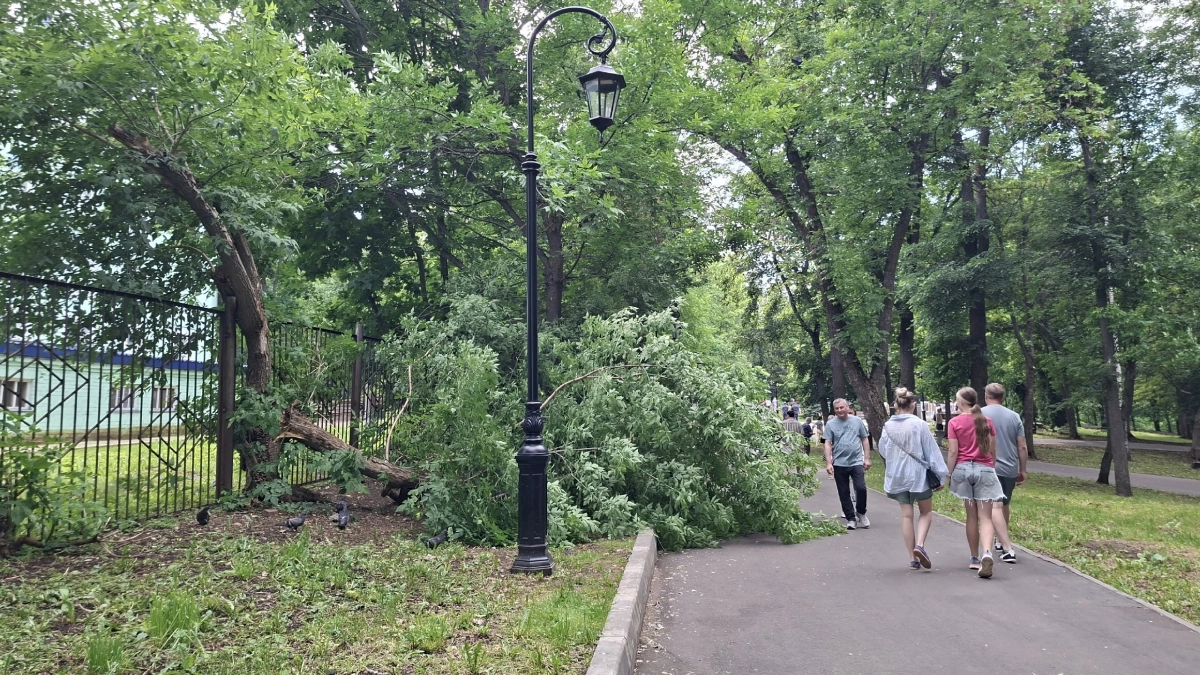 Этими 3 вещами умный человек никогда ни с кем не делится: Омар Хайям дал совет лучше психологов