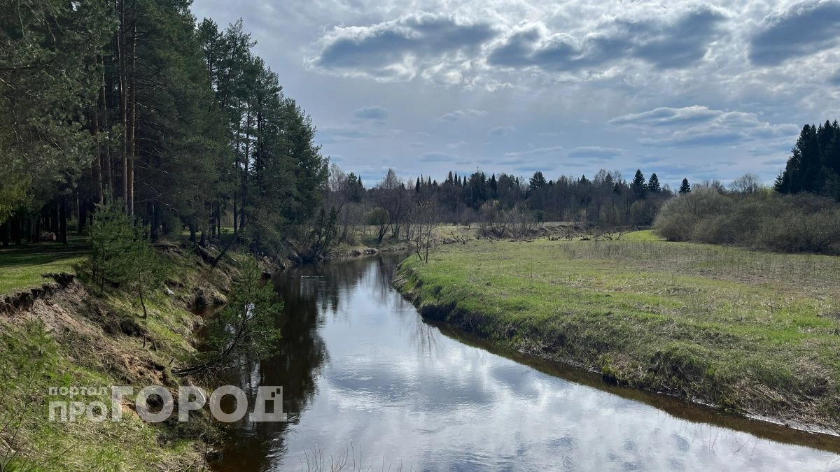 В Кировской области школьница заблудилась на болоте 
