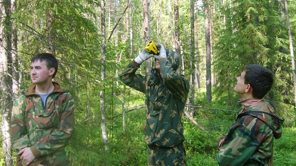 Сроки подготовки лесных аукционов в Кировской области стали в два раза короче