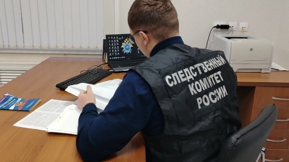 В Туже осудили мать троих детей за долг по алиментам в 3,5 миллиона рублей