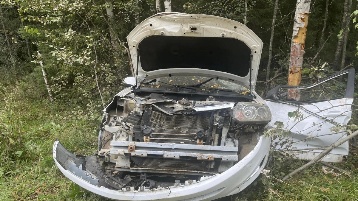 Под Слободским 18-летняя девушка погибла в аварии, врезавшись в дерево