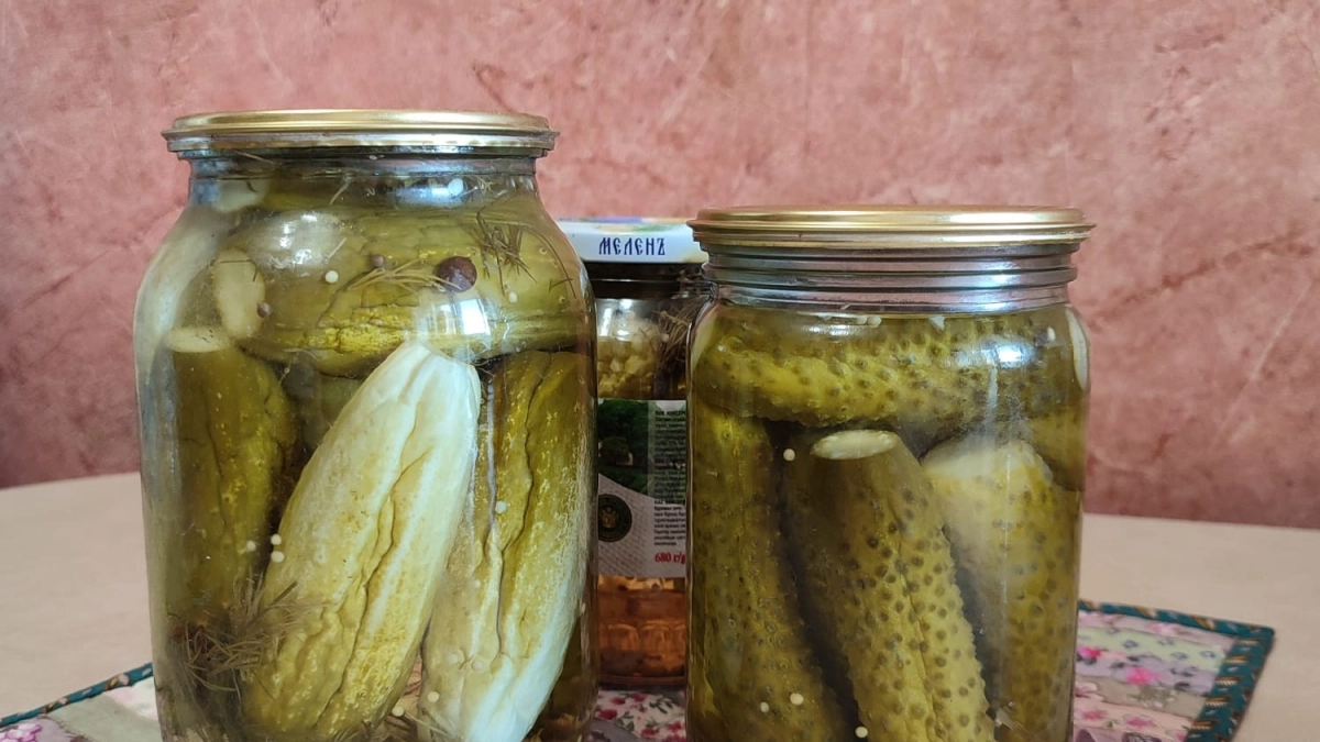 Как правильно солить огурцы: чтобы были вкуснее, чем в магазине - дело не в соли и не в зелени