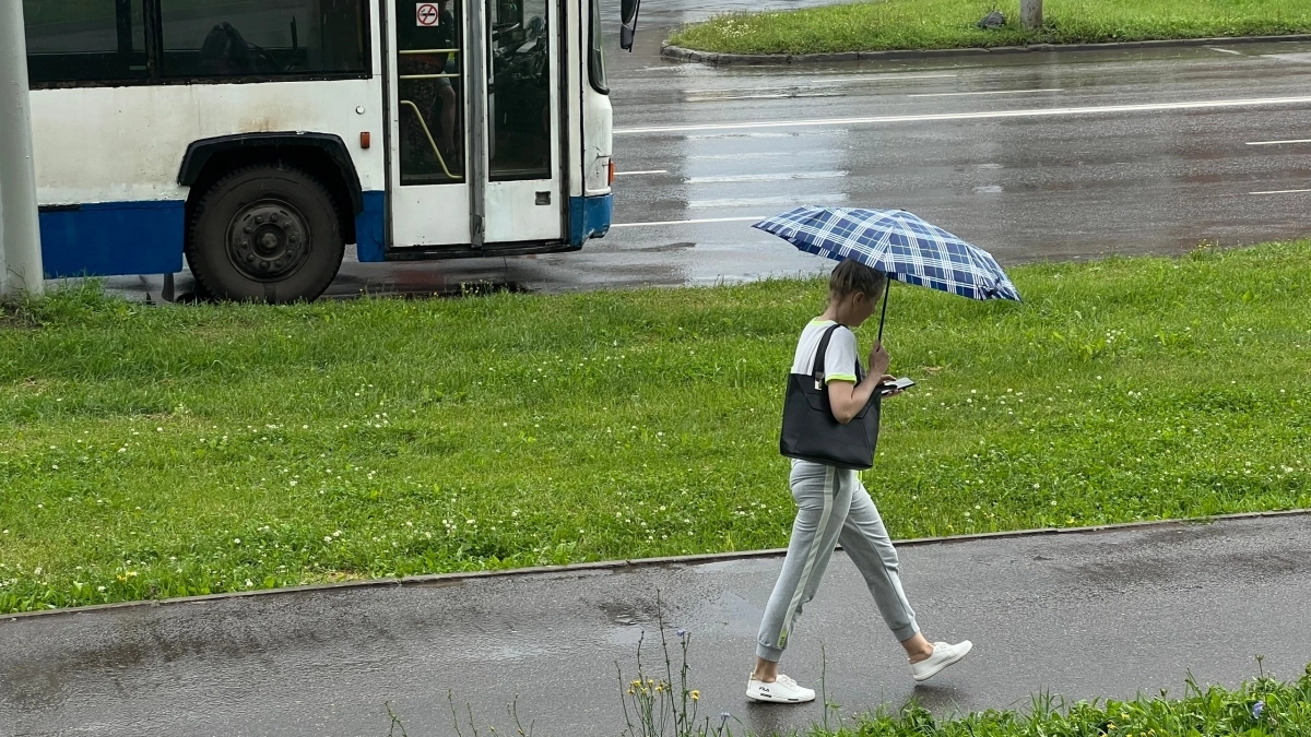 Синоптики рассказали, какой будет погода в Кирове 15 августа