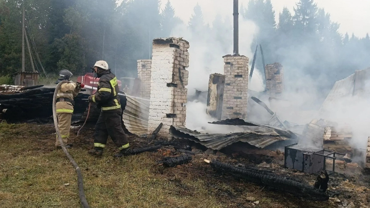В Кировской области при пожаре на ферме погибли 26 овец и 500 голов птицы