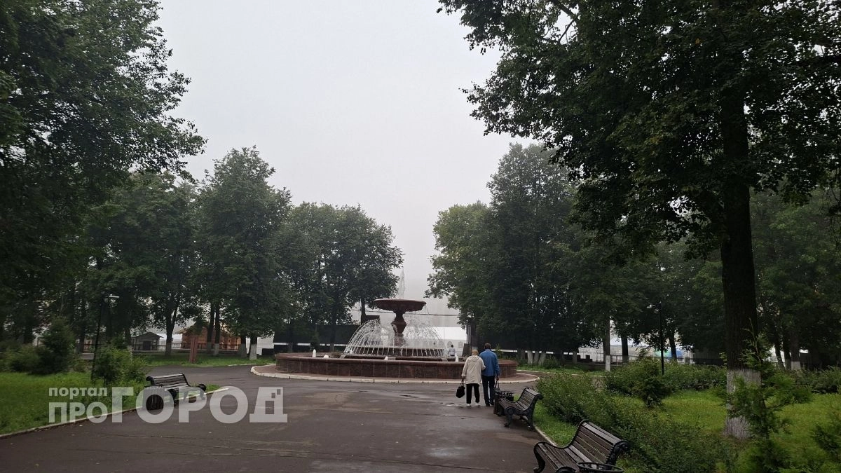 Упавшее дерево и не скошенная трава: 1549 обращений оставили кировчане в соцсетях за неделю