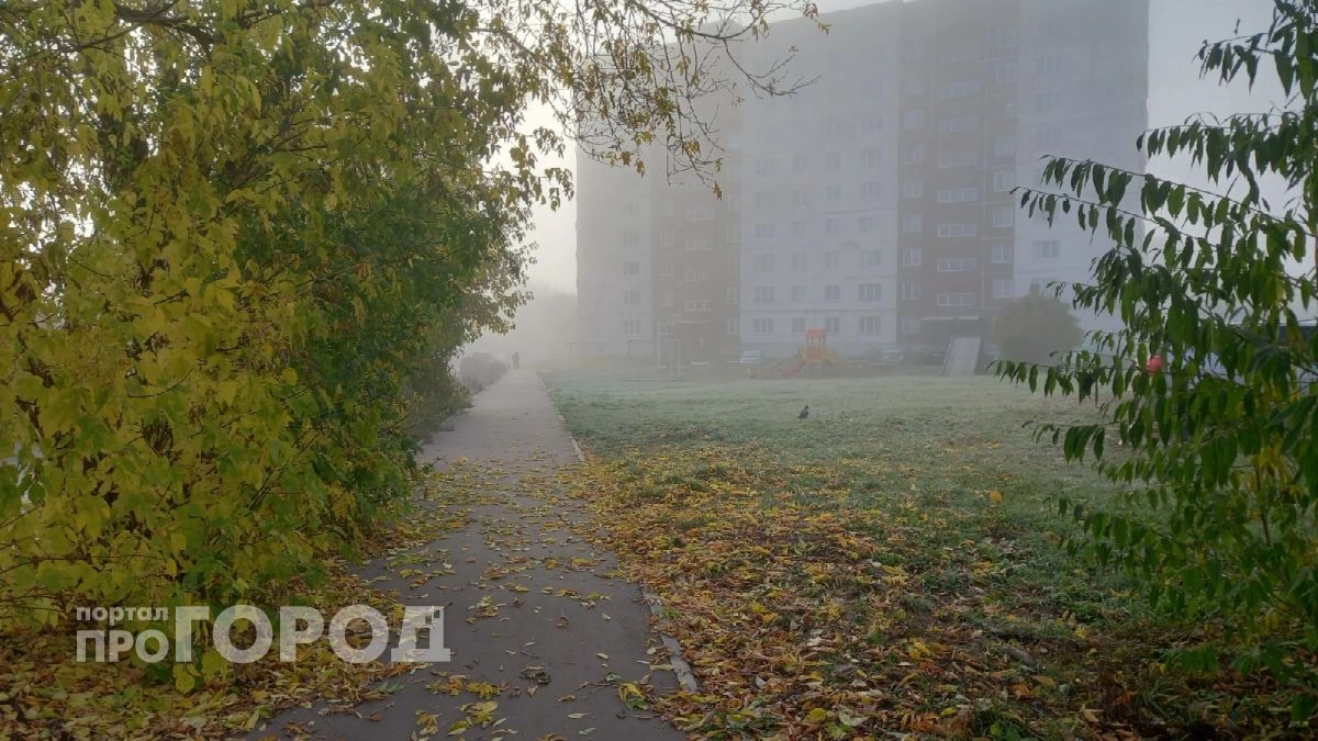 Метеопредупреждение: заморозки до -3 градусов на почве ожидаются в Кировской области 