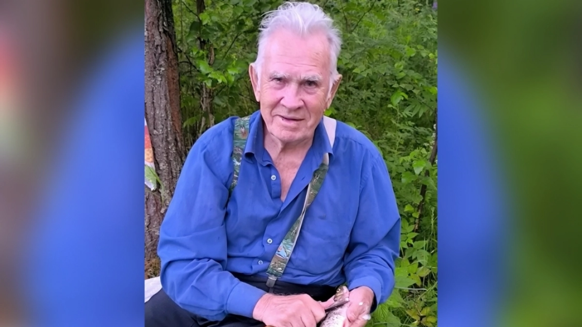 "Собака взяла след, но через 300 метров потеряла": родственники четыре дня ищут дедушку в белохолуницком лесу