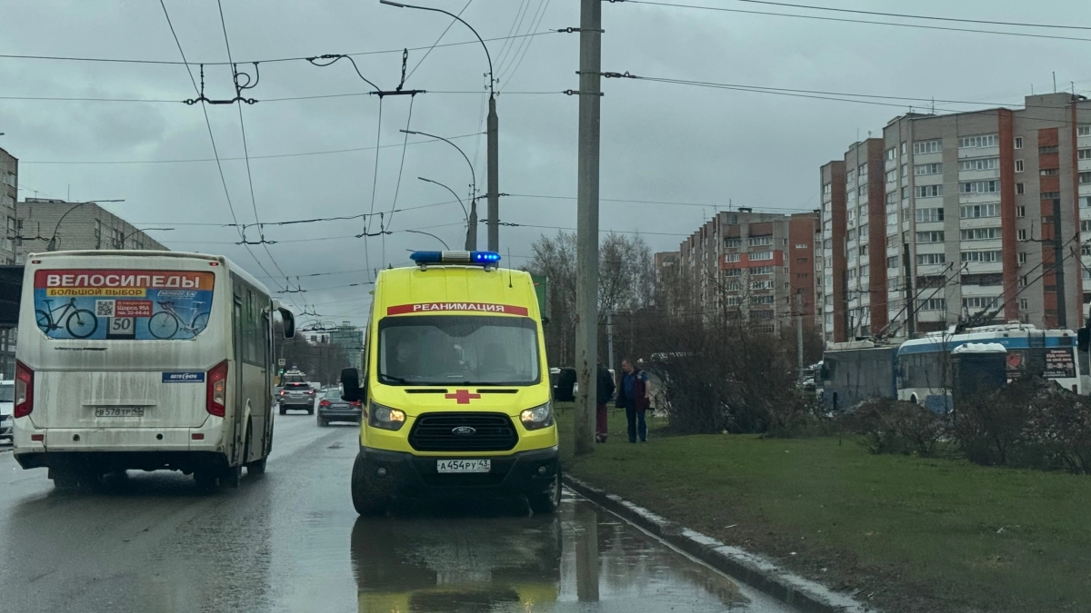 В Подосиновском районе малолетний боксер избил ребенка до сотрясения мозга