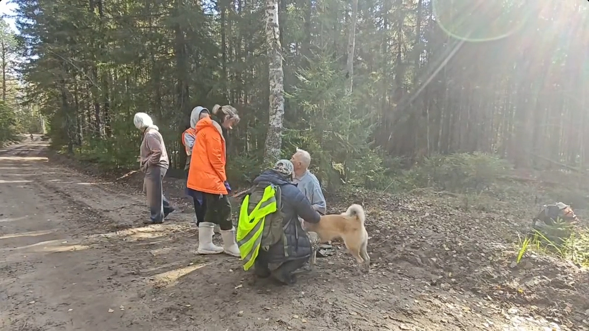Волонтеры сообщили детали спасения 87-летнего кировчанина спустя неделю поисков