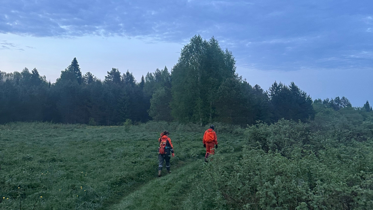 Секс В Большом Плане Секс В Большом Плане