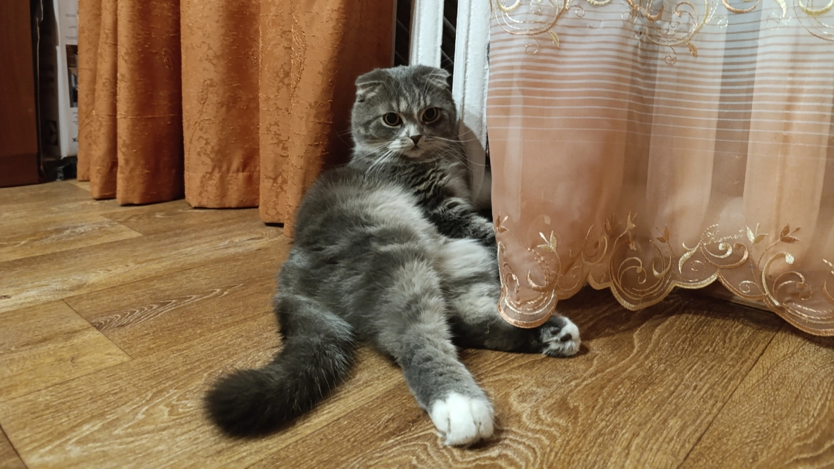 В Кирове все управляющие компании отчитались о готовности к отопительному сезону