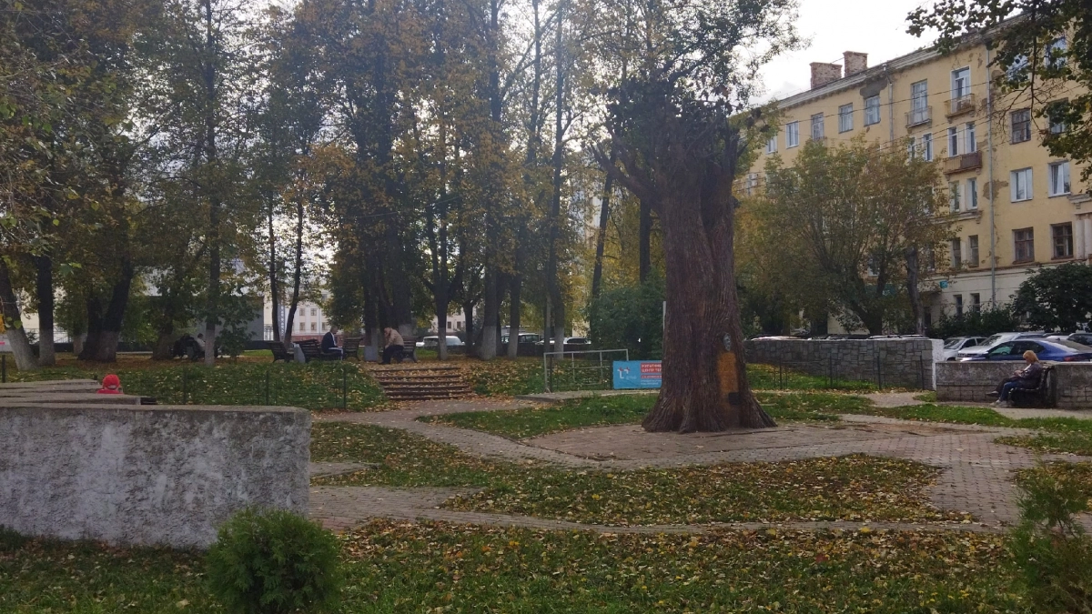 Стало известно, какой будет погода в Кирове 28 сентября