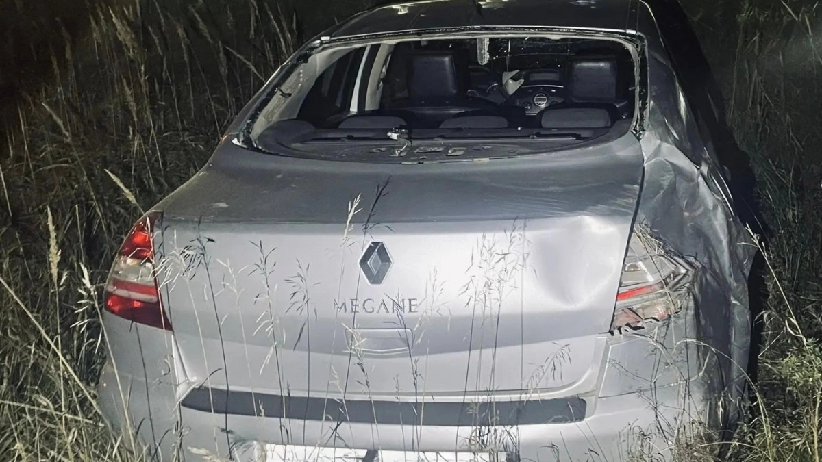 Медведь спровоцировал аварию с тяжелыми последствиями на трассе под Советском