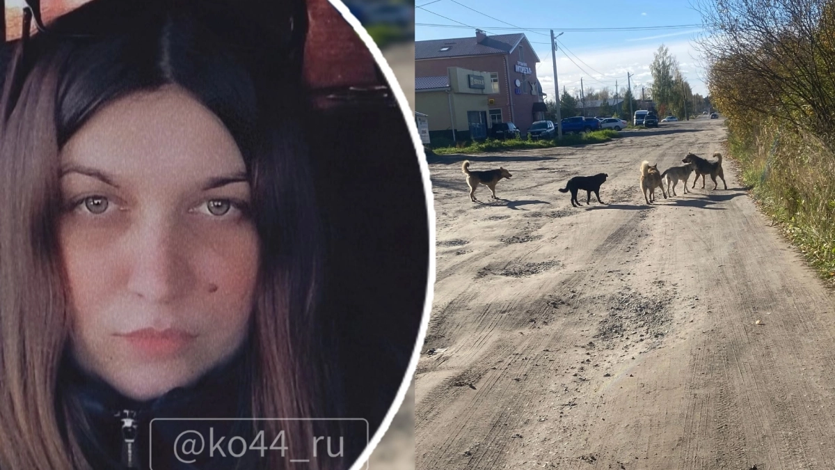 В соседнем с Кировской областью регионе собаки искусали двух детей