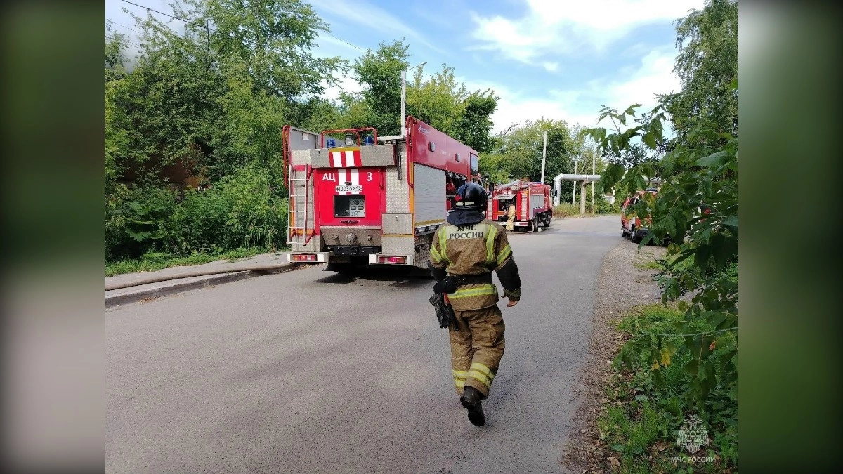 Под Кировом дерево рухнуло на автомобиль с человеком внутри