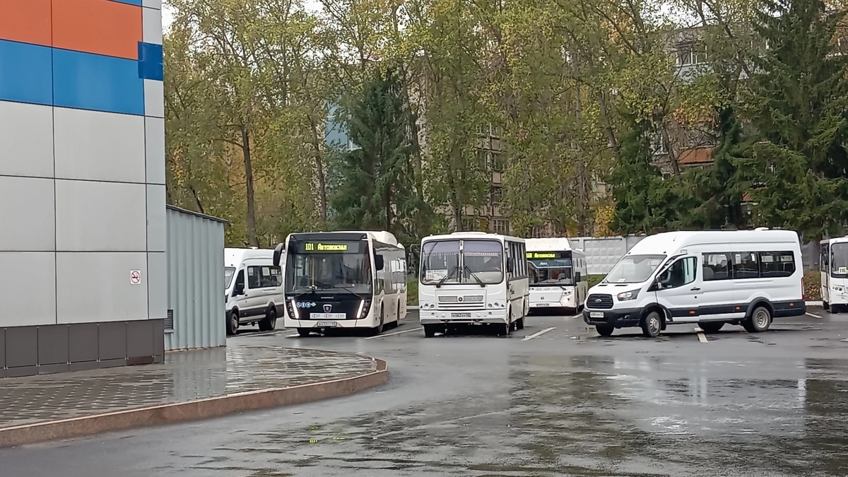 Семь важных садоводческих маршрутов в Кирове и области уйдут на зимний перерыв
