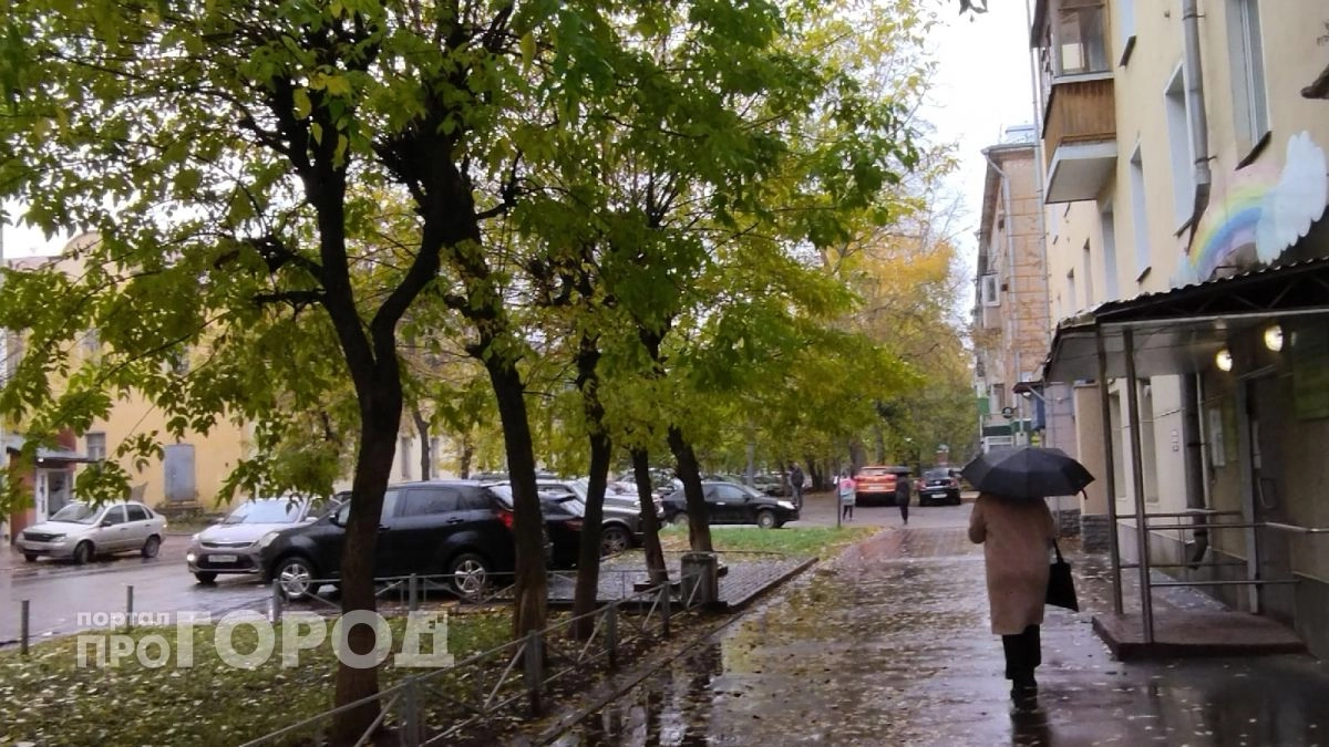Облачно и до +13 °C: какой будет погода в Кирове в воскресенье, 11 октября