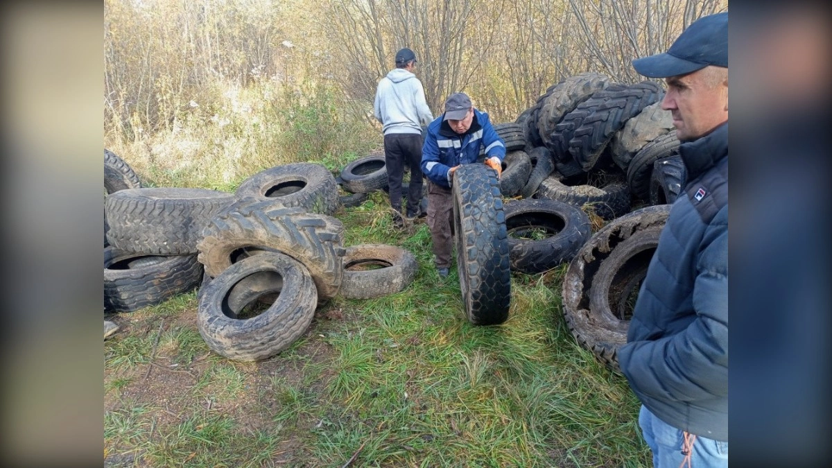 С 15 октября в Кирове откроется прием старых автомобильных шин