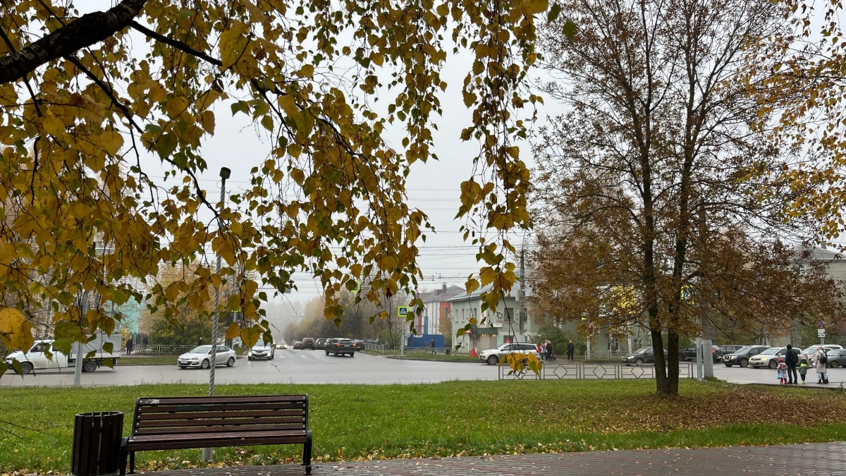 Синоптики рассказали, какой будет погода в Кирове 13 октября