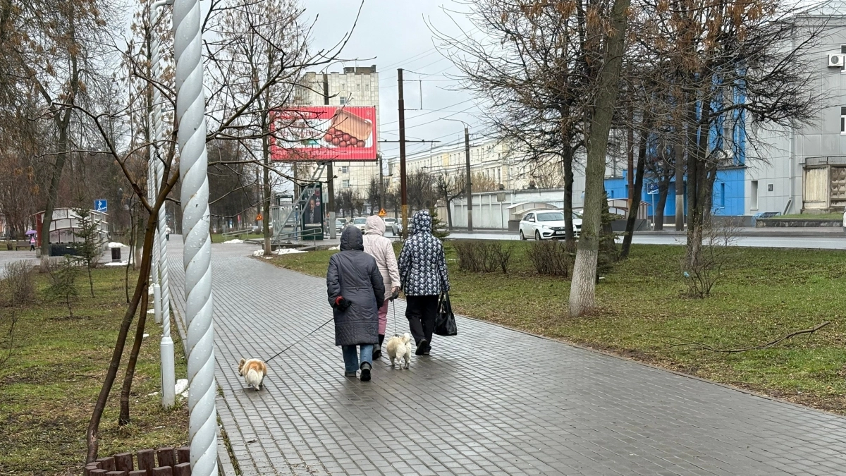 Злые собаки покусали детей сразу в трех районах Кировской области