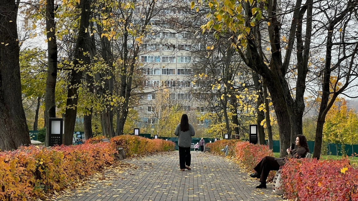 Синоптики рассказали, стоит ли ждать снег в октябре