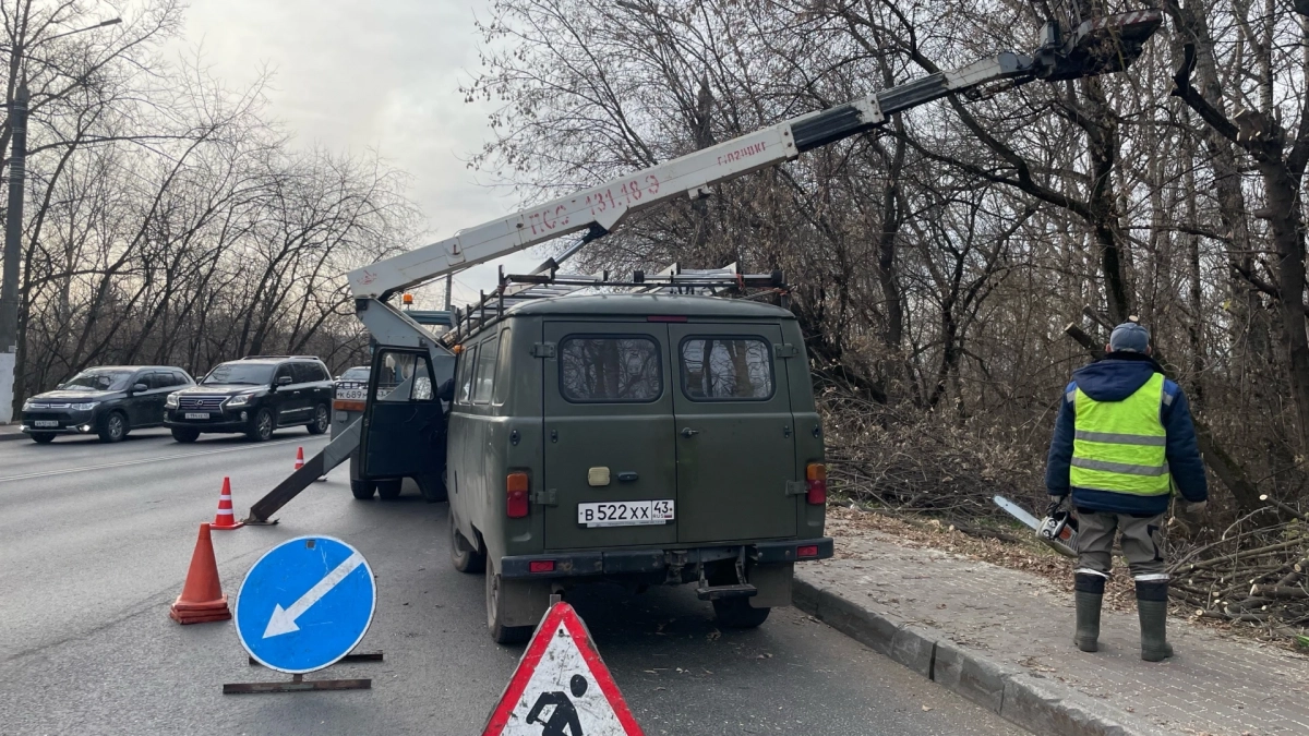 В Кирове убирают деревья, угрожающие обрывом проводов
