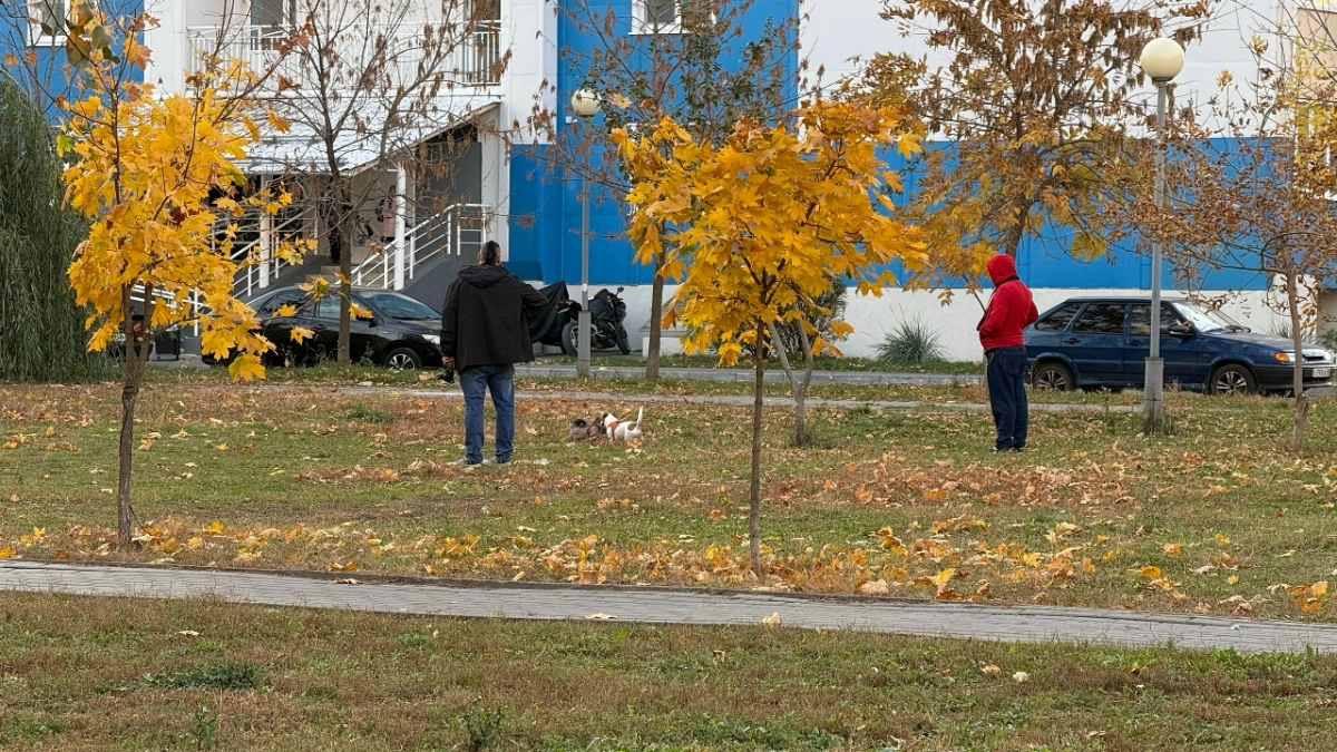 В Нолинске дворник детсада умер во время уборки территории