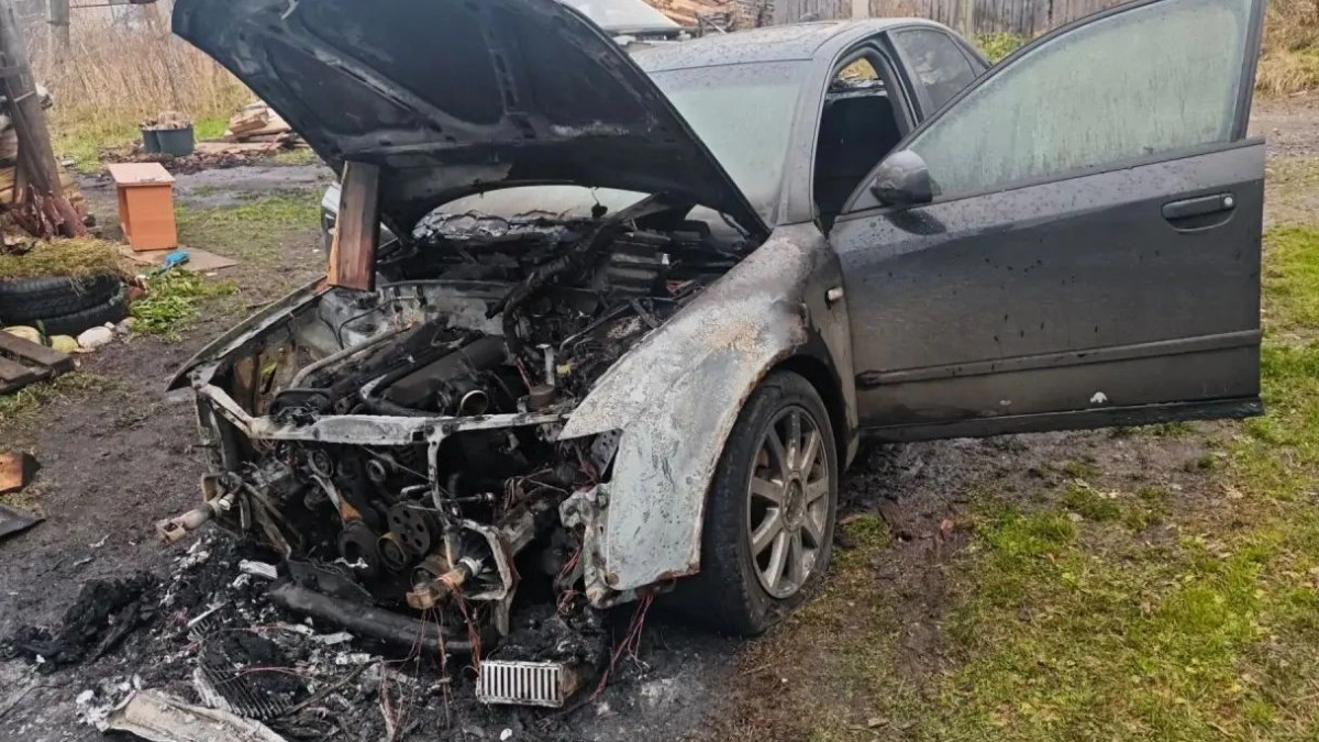 В Омутнинском районе мужчина поджег Audi после отказа продать ему машину
