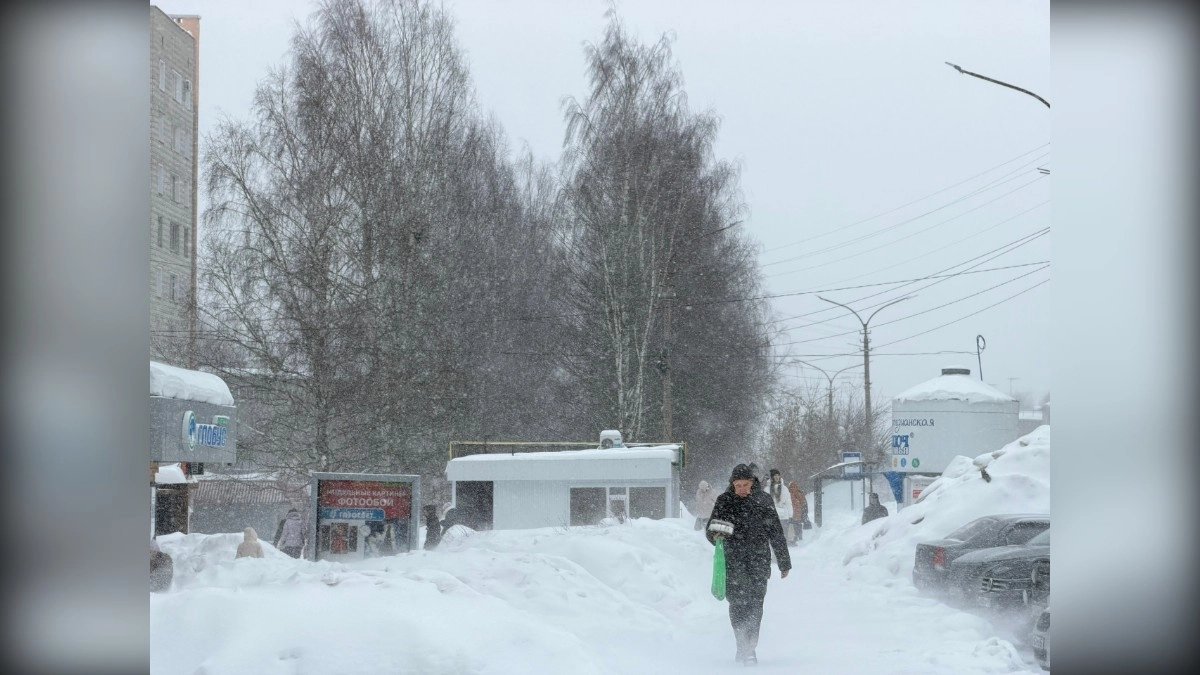 Кировская область в начале ноября окажется в снежном апокалипсисе