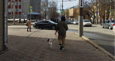 "Жить одни не будут": собственникам жилья грозит законное подселение незнакомцев в квартиру