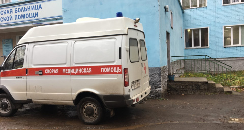В Белохолуницком районе домашняя лайка укусила пенсионерку за ногу