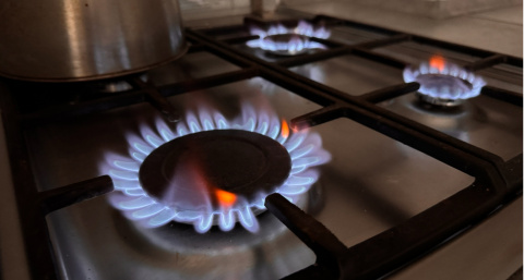 Указ подписали: с 1 мая штраф 10 000 рублей для собственников квартир с газовой плитой