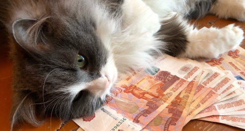 Для всех, кто хранит дома купюры 5 000 рублей - важное нововведение в мае