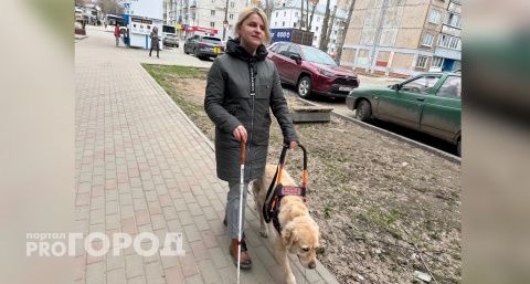  "Мой пес по кличке Панда знает 10 маршрутов и свое место в автобусе": незрячая кировчанка о “работе” единственной в городе собаки-поводыря