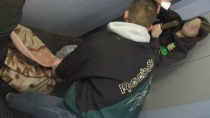 "Не просто домашний питомец, он память о сыне": кировчане обратились к Бастрыкину по поводу убийства амстаффа в Радужном