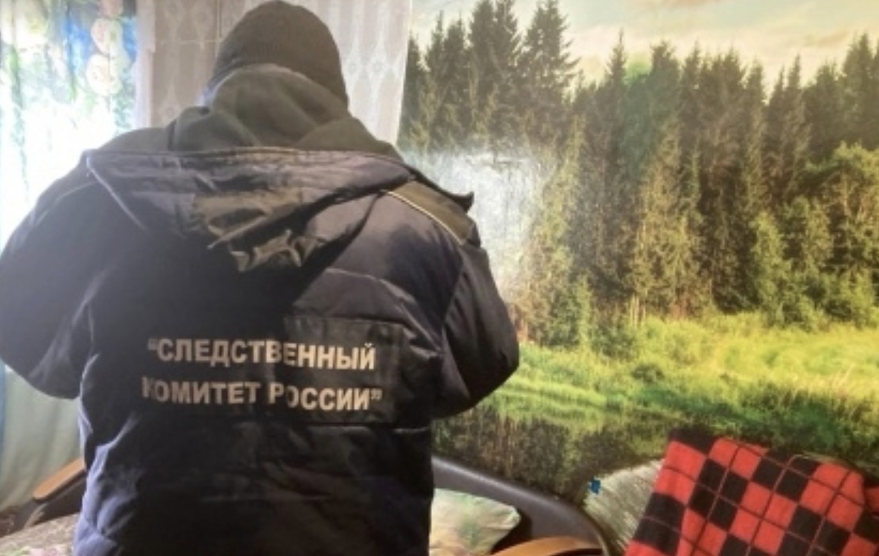 Житель Кировской области забил до смерти годовалую дочь