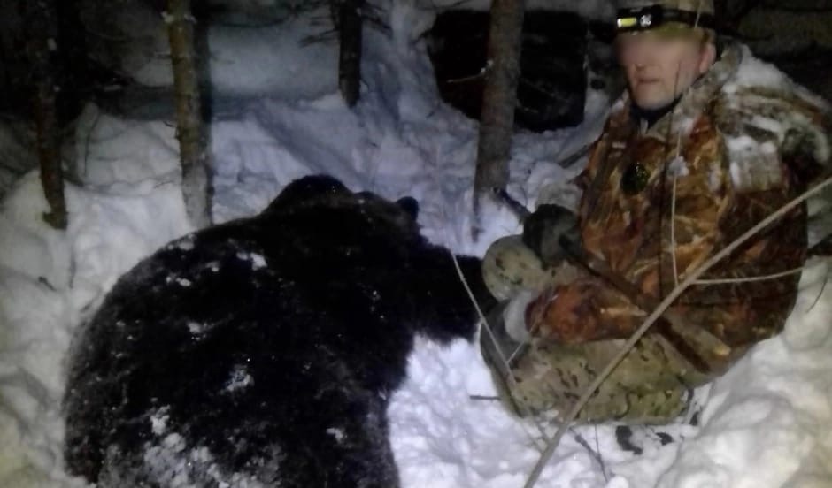 В Кировской области мужчину задержали за убийство медведя