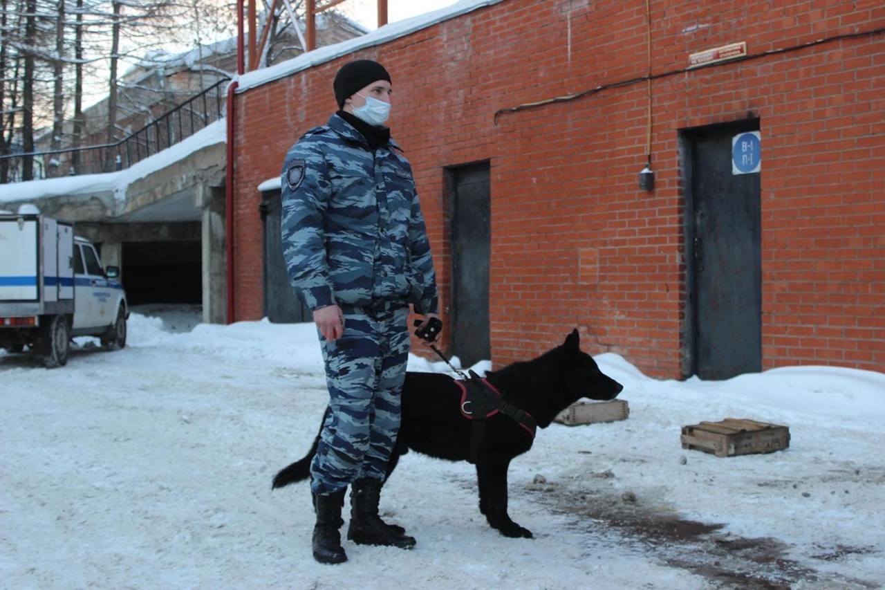 В Кирове полиция поймала двух подростков с тридцатью граммами наркотиков